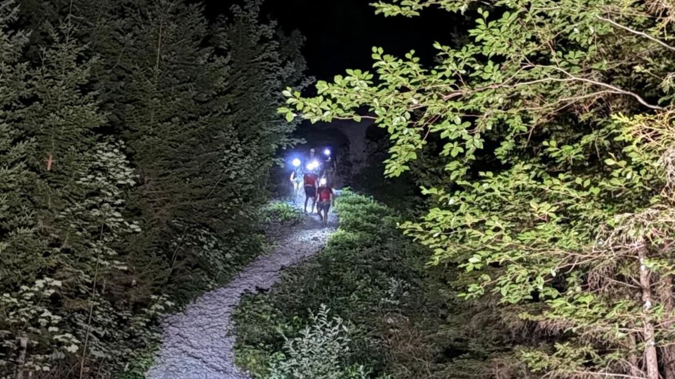 A group of people are hiking in a forest at night, illuminated by their headlamps. They are walking on a narrow path surrounded by trees.