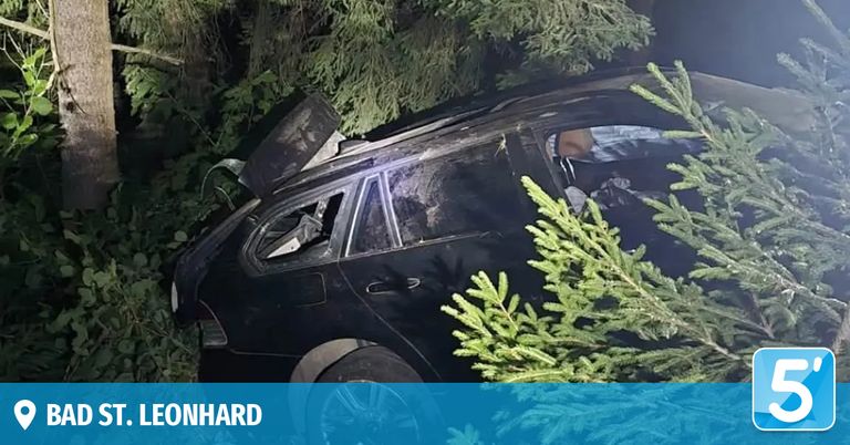 A black car is wrecked in a forest, with a damaged roof and broken windows, surrounded by trees.