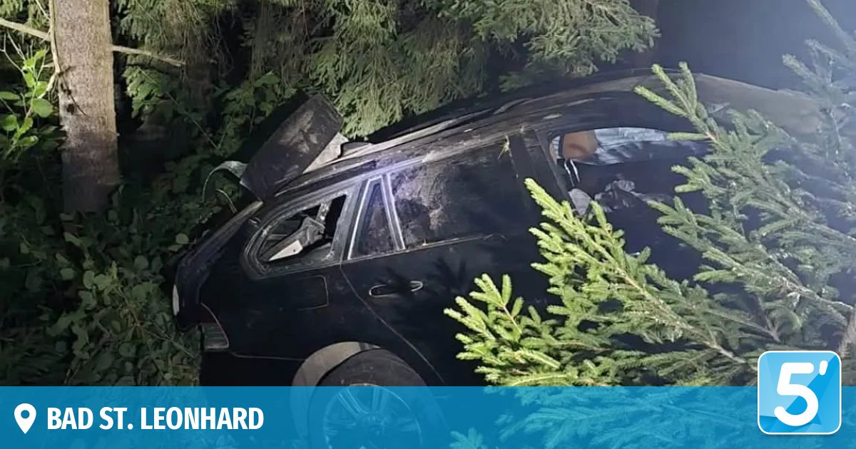 A black car is wrecked in a forest, with a damaged roof and broken windows, surrounded by trees.