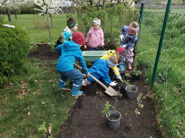 Eine Gruppe von Kindern pflanzt kleine Pflanzen in einem Garten. Sie tragen Handschuhe und Stiefel. Einige benutzen Schaufeln, während andere ihre Hände benutzen.