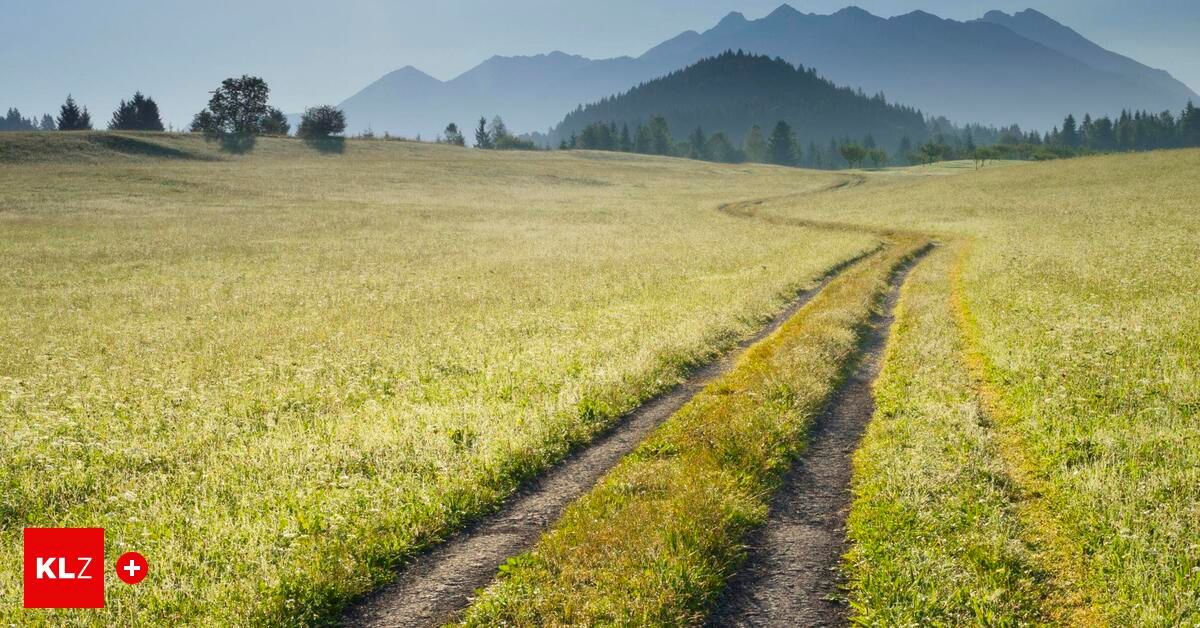 A serene landscape featuring a grassy field with two dirt paths leading into the distance, surrounded by trees and mountains under a clear sky.