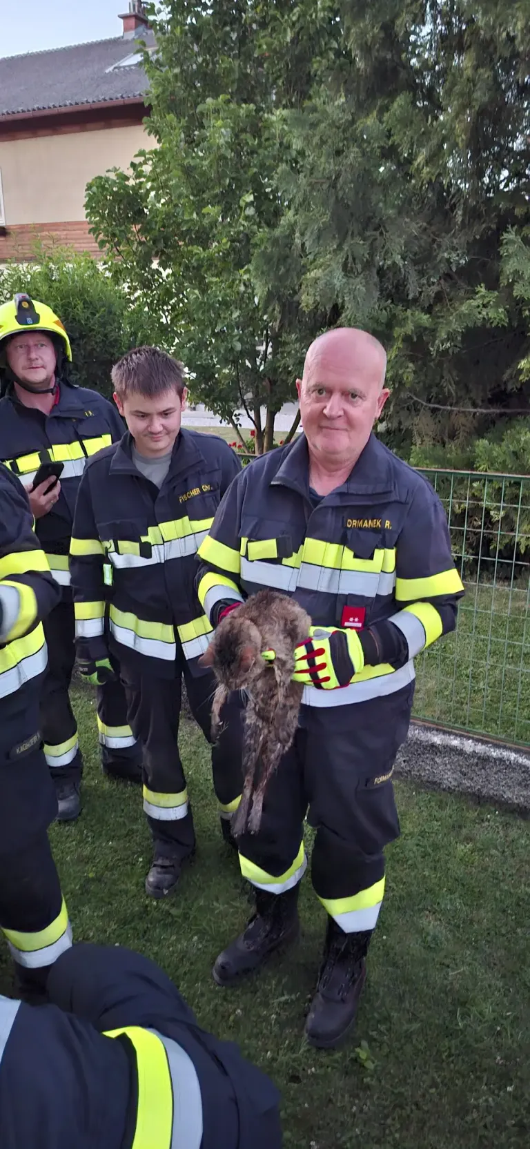A firefighter holds a wet cat rescued from a tree. Three other firefighters stand behind him, one using a cellphone.