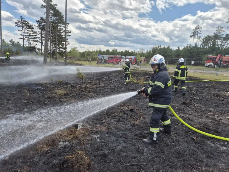 Feuerwehrleute sprühen Wasser auf ein verbranntes Gebiet mit Bäumen und Feuerwehrwagen im Hintergrund.