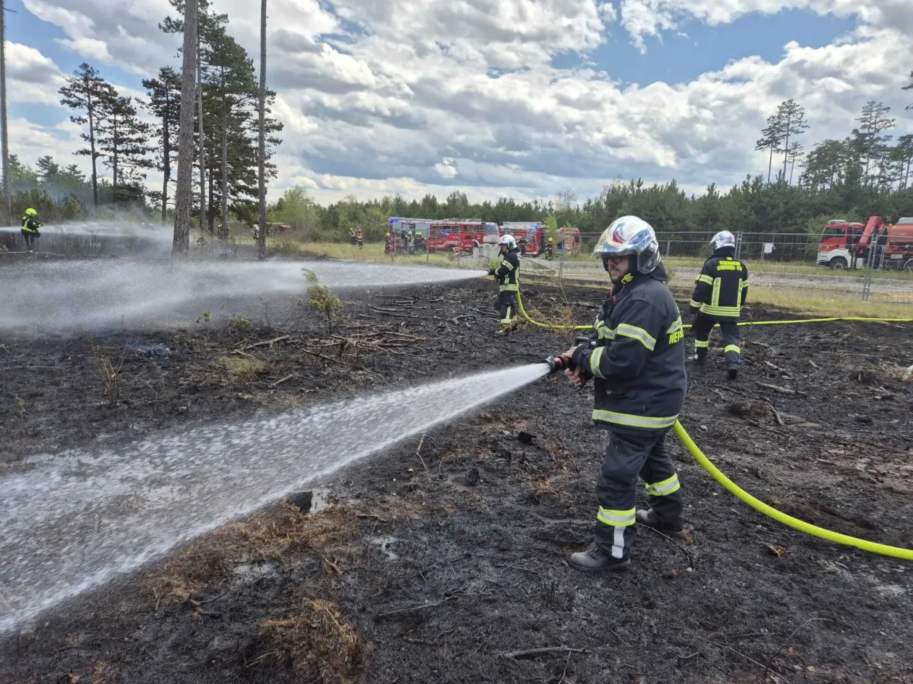 Feuerwehrleute sprühen Wasser auf ein verbranntes Gebiet mit Bäumen und Feuerwehrwagen im Hintergrund.