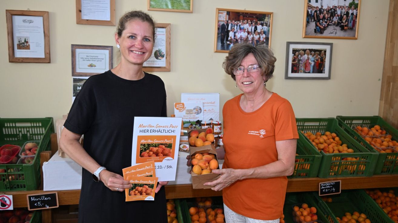 Two women stand next to each other, one holding a box of apricots and the other holding a brochure titled 'Marillen.Genuss.Pass'. They are smiling and appear to be at a market stall. Behind them, there are framed pictures on the wall and a table with more boxes of fruit.