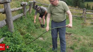 Two men in a field, one holding a stick, the other bending down to pick something up. Behind them is a wooden fence.