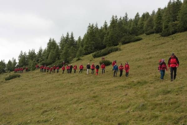 Eine Gruppe von Wanderern in roten Jacken wandert einen grasbewachsenen Hügel hinauf, mit Bäumen im Hintergrund.