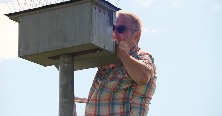 Ein älterer Mann mit Sonnenbrille und kariertem Hemd lehnt sich gegen einen Metallpfosten und inspiziert möglicherweise ein Vogelhaus.