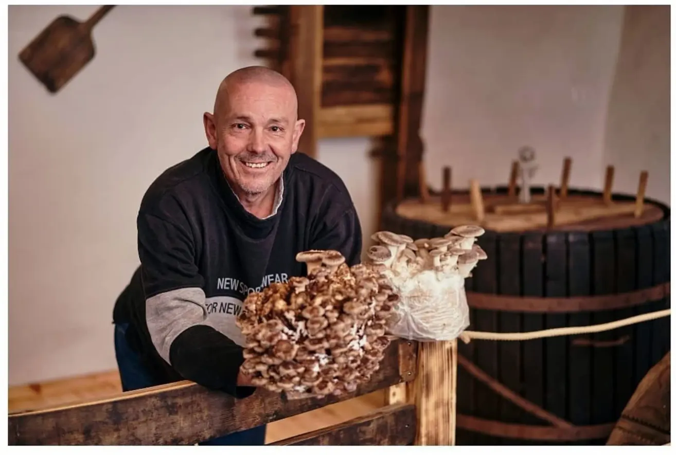 Ein Mann in einem schwarzen Shirt lächelt und hält eine Handvoll Pilze in einer hölzernen Umgebung.