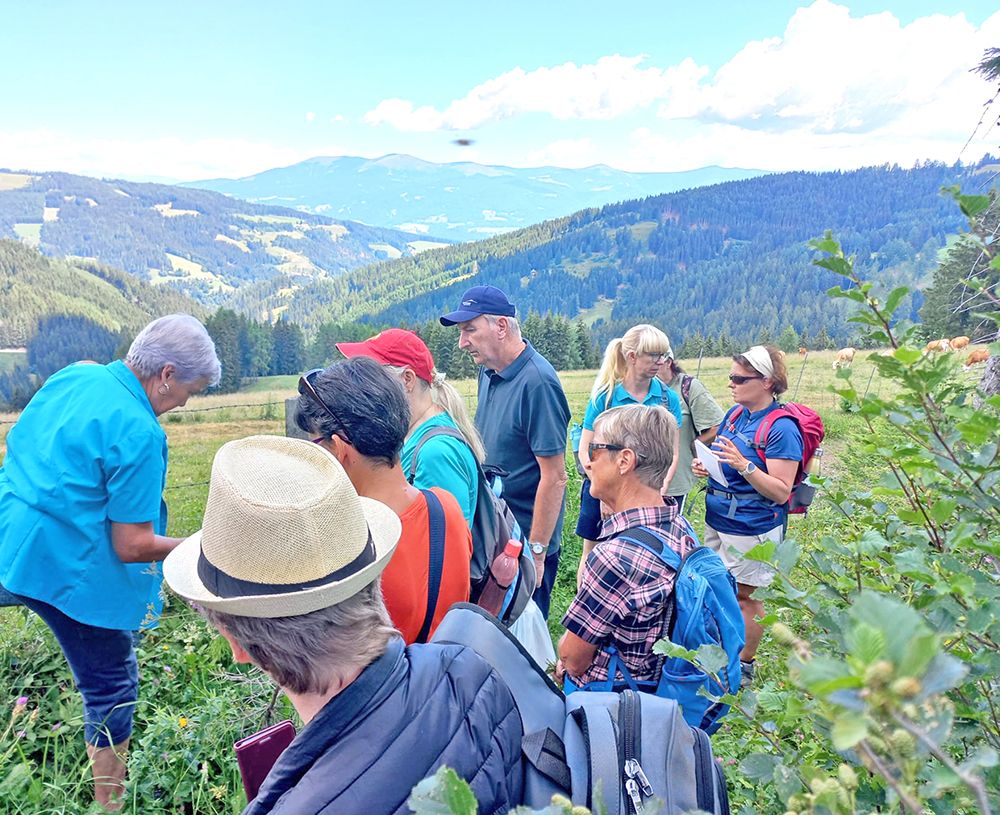Eine Gruppe von Wanderern, einige mit Hüten und Rucksäcken, steht in einem Grasfeld mit Bergen im Hintergrund. Sie scheinen in ein Gespräch vertieft zu sein.