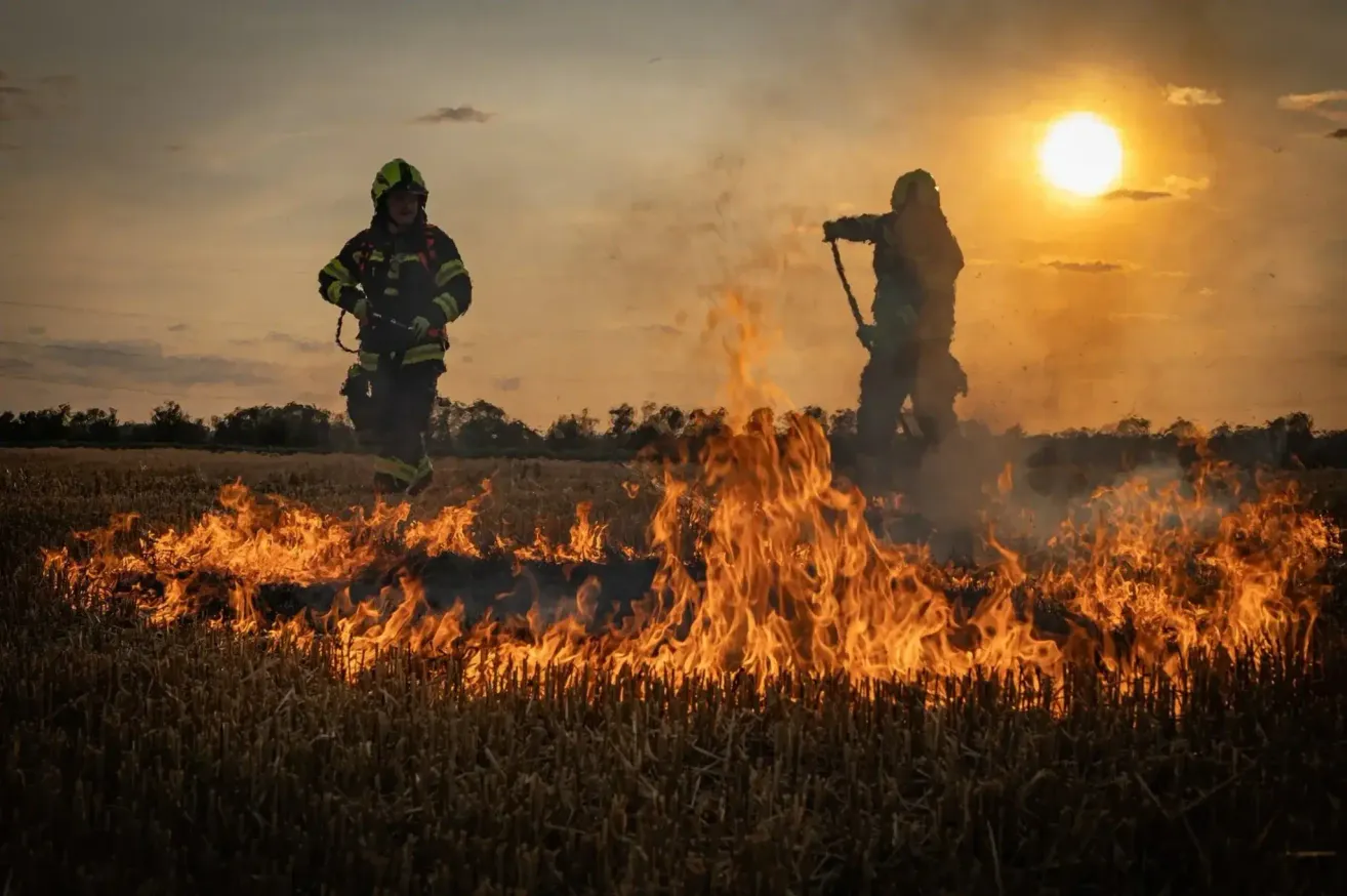 Zwei Feuerwehrleute in voller Ausrüstung bekämpfen einen Brand auf einem Feld bei Sonnenuntergang, einer mit einem Schlauch und der andere mit einem Rechen.