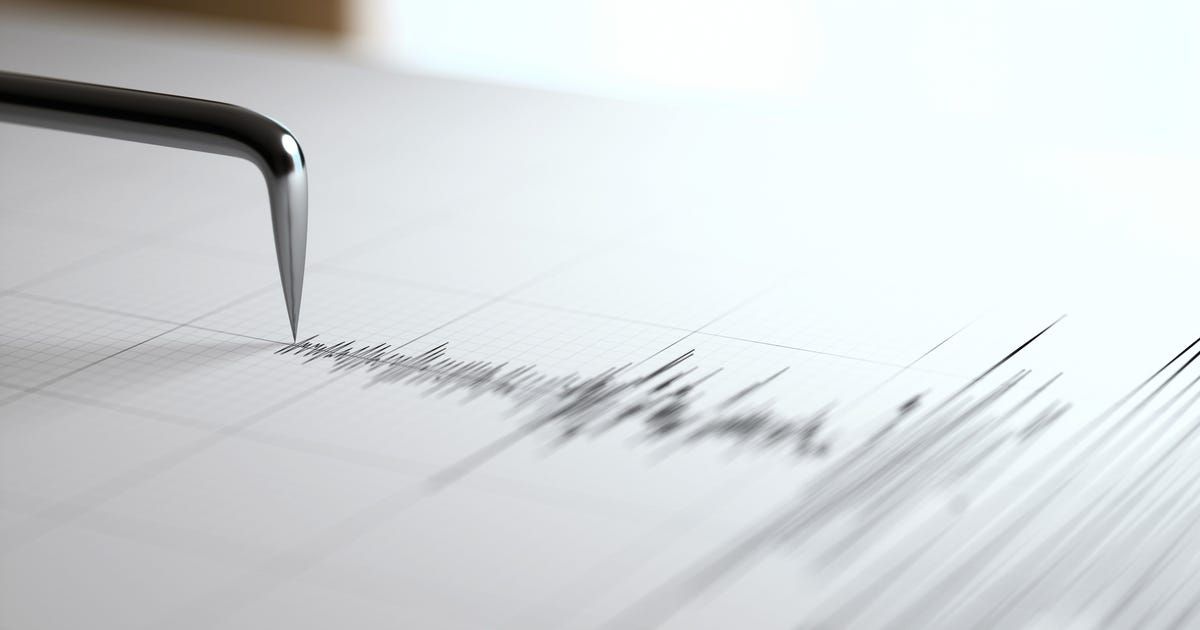 Ein Nahaufnahme eines seismografischen Papiers mit einer Nadel, die auf ein seismisches Wellenmuster zeigt. Das Papier ist weiß mit einem Gittermuster.