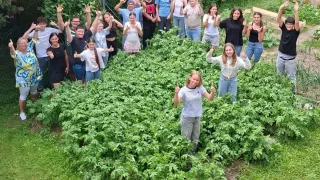 A group of people stand in a potato field, some giving thumbs up and others smiling, surrounded by green foliage.