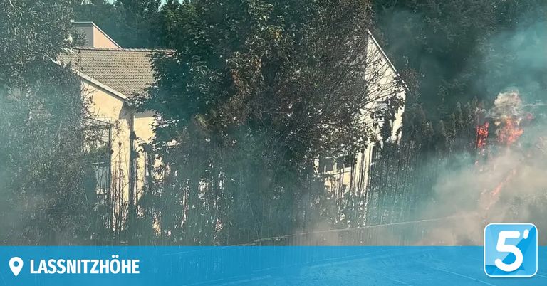 A house with a tiled roof and a tree in front of it, with smoke coming from the roof.