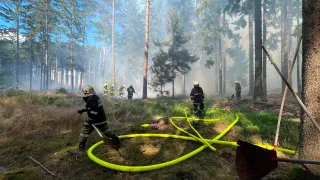 Feuerwehrleute in Schutzkleidung bekämpfen einen Waldbrand, sie verwenden Schläuche und Werkzeuge, um das Feuer unter Kontrolle zu bringen. Rauch füllt die Luft, und der Wald ist dicht mit hohen Bäumen.