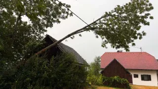 A tree branch has fallen on a house with a gray roof, while another house with a red roof stands nearby.