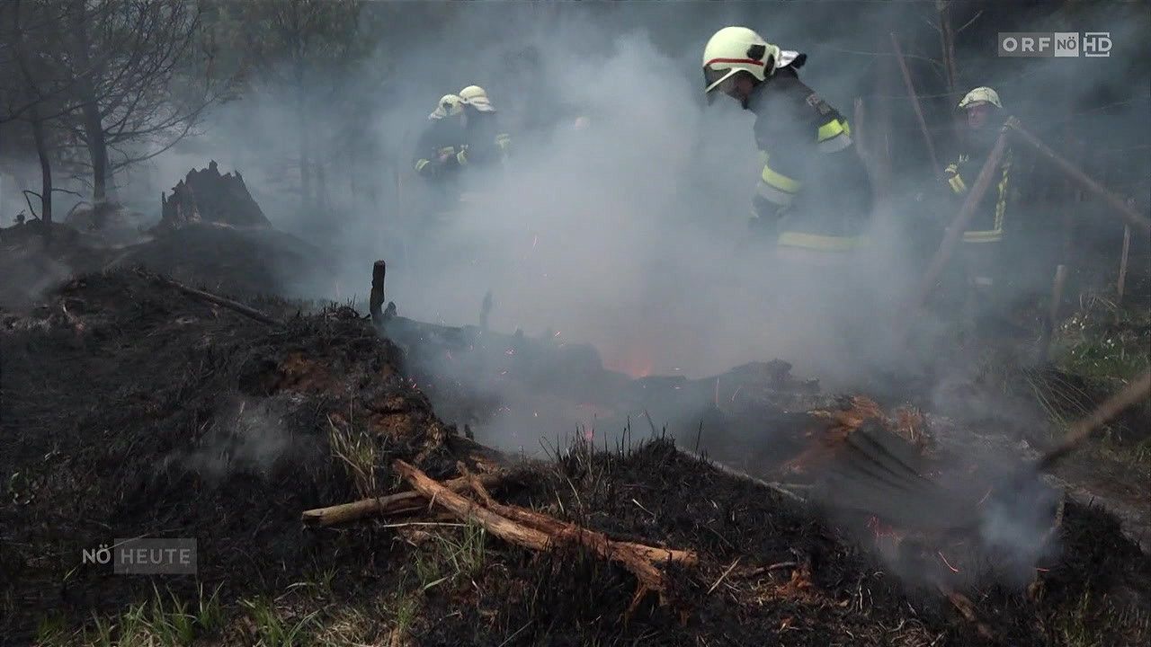 Firefighters in protective gear extinguish a fire in a wooded area. Smoke and flames are visible.