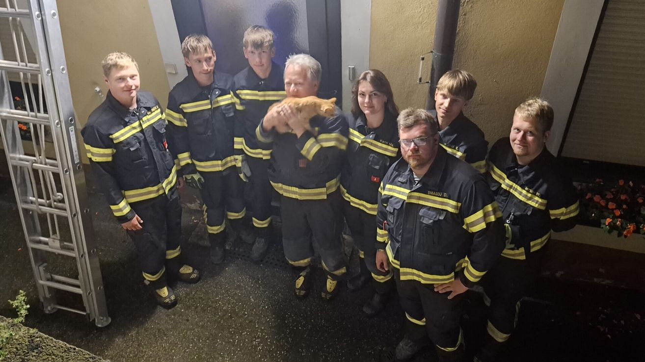 A group of firefighters in uniform, one holding a cat, standing in a doorway.