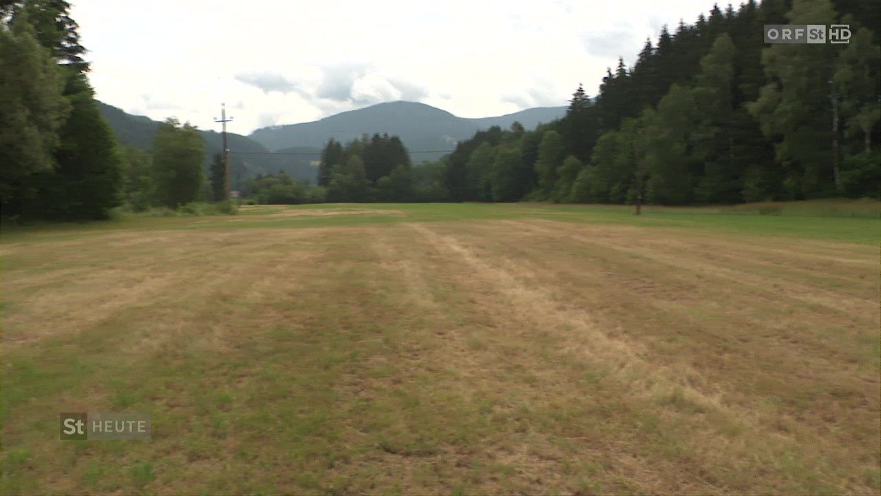 Ein leeres Feld mit spärlichem Gras und einer entfernten Bergkette unter einem bewölkten Himmel.