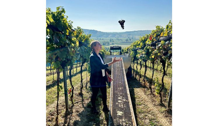 Eine Frau steht in einem Weinberg und schaut zu einer Traube auf, die in der Luft schwebt. Sie trägt eine schwarze Jacke und Hose. Hinter ihr ist ein Traktor geparkt.