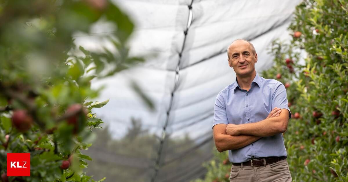 A man in a light blue shirt and brown pants stands with his arms crossed in an orchard. He is smiling and appears to be posing for a photo. Behind him, there is a net and apple trees. The background is blurry.