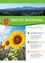 Ein Gemeinde-Bulletin mit grünem Hintergrund, das eine Sonnenblume, Lavendel und Gänseblümchen zeigt. Es enthält Abschnitte für Gemeindenachrichten, Wasserversorgung, Erste Hilfe und Kindergarten. Das Datum ist 01/2026.