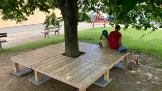 A wooden bench with a tree growing in the center, where a man and a child are sitting under the shade of the tree.