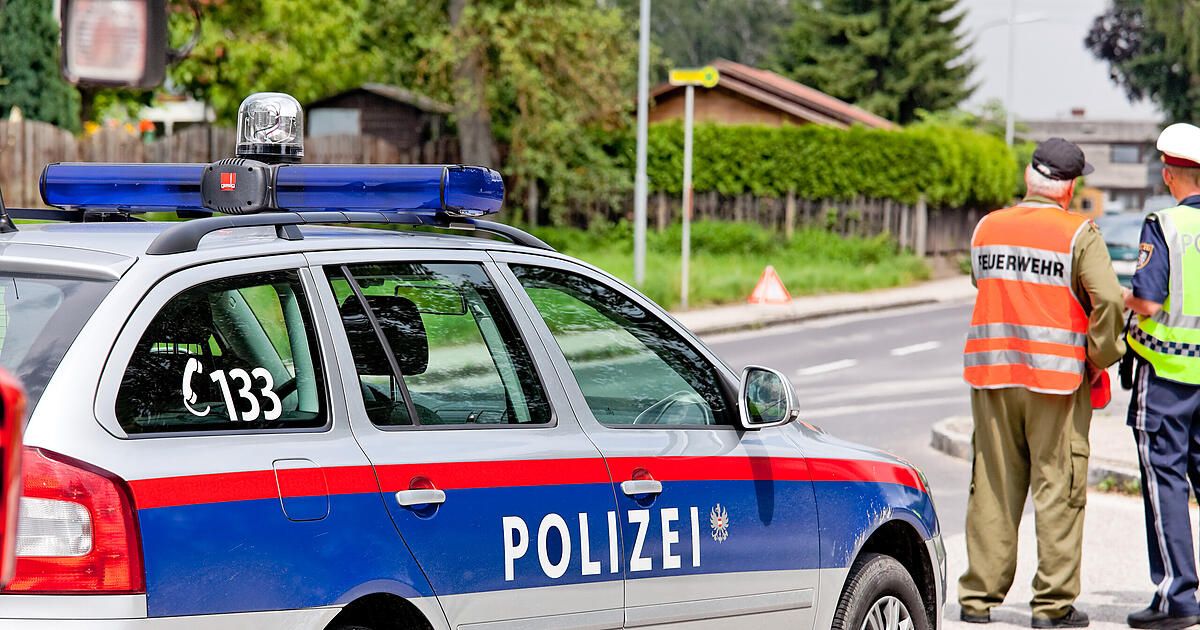 Ein Polizeiauto mit der Nummer 133 ist am Straßenrand geparkt. Dahinter steht ein Verkehrskegel und ein Haus mit einem braunen Dach.