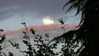 A full moon is shining brightly in the night sky, with a hint of pink on the horizon. Trees are silhouetted in the foreground.