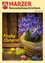 Ein Korb mit lila Krokusblumen auf gelbem Hintergrund und dem Text 'Frohes Ostern!' in Deutsch.