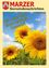 Ein Plakat mit Sonnenblumen und blauem Himmel, mit dem Text 'Wir wünschen einen schönen Sommer!' in gelber Schrift. Das Plakat stammt aus 'Gemachnachrichten', Folge 165, Juli 2023.