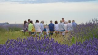 A group of people sit on a bench in a lavender field under a cloudy sky.