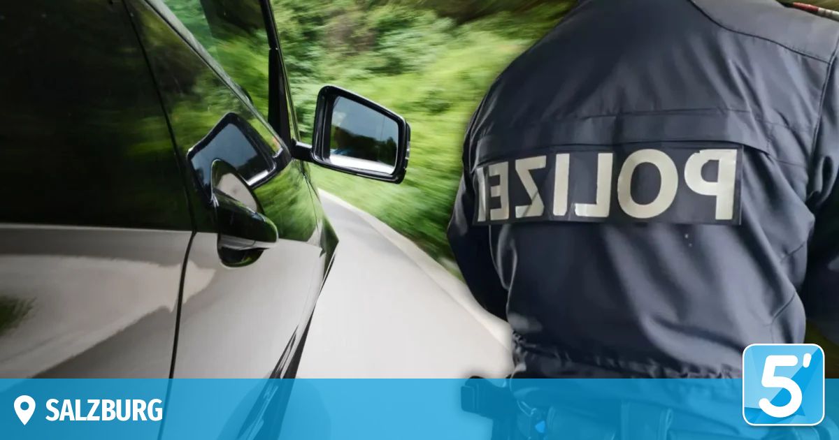 Ein Polizeibeamter in einer schwarzen Uniform steht neben einem Auto auf einer Straße, mit einem verschwommenen Hintergrund von Grün.