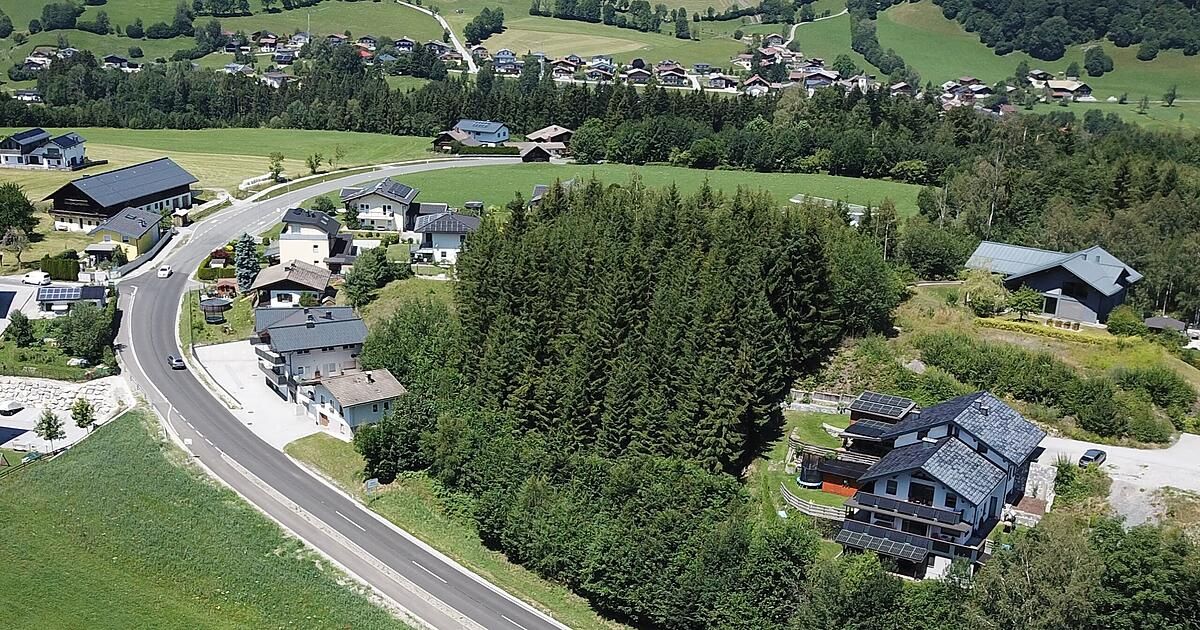 Aerial view of a small village with houses, green fields, and a road surrounded by trees and mountains.