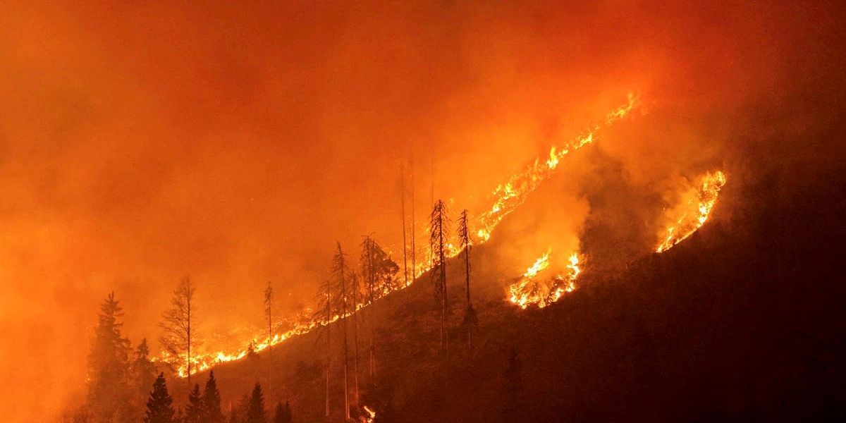 A wildfire burns through a forested hillside, with flames reaching high into the air and smoke billowing upwards. Trees are ablaze, and the fire is spreading rapidly.