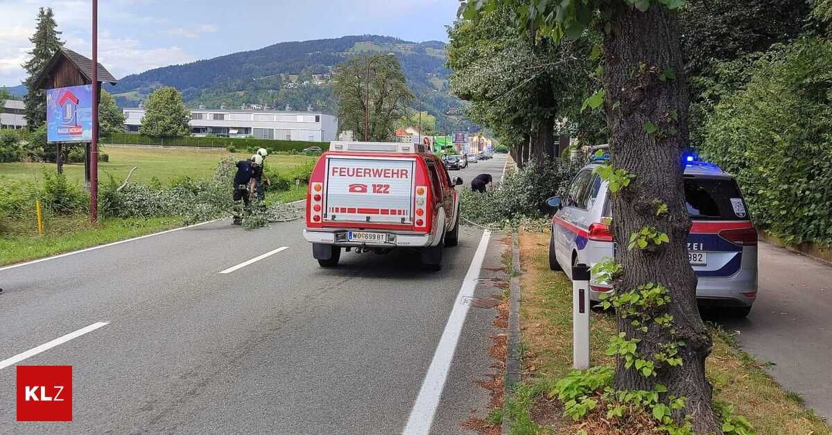 Feuerwehrleute räumen einen Straßenbaum, ein Feuerwehrwagen ist in der Nähe geparkt und ein Polizeiauto steht an der Seite. Die Szene spielt sich in einer Stadt mit Bergen im Hintergrund ab.