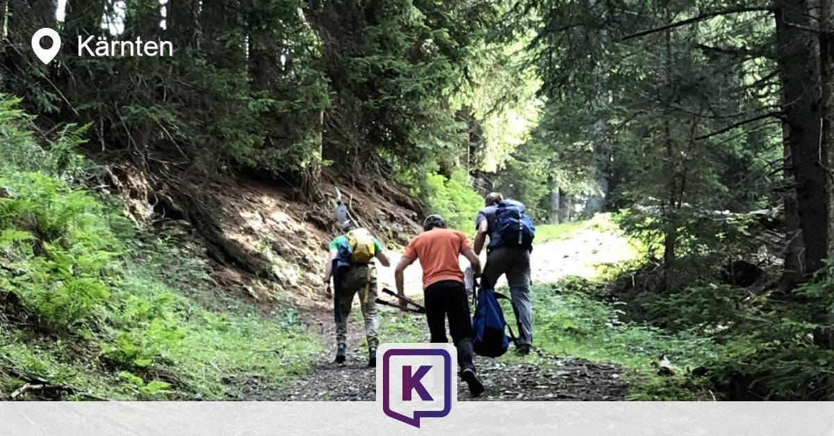 Drei Personen wandern auf einem Waldweg, einer trägt einen blauen Rucksack und ein anderer hält einen Stock. Der Weg ist von dichten Bäumen umgeben.