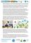 Eine Infografik zeigt einen Mann, der an einem Schreibtisch schreibt, mit einem Flyer für das KEM-Projekt und einer Illustration von Menschen, die sich an verschiedenen umweltfreundlichen Aktivitäten beteiligen.