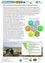 Infografik zur Diskussion des Potenzials von Biomasse in einer Region, zeigt Quellen von Biomasse und potenzielle Kategorien. Es enthält Text über die wirtschaftliche Rentabilität von Biomasse-Anlagen und den Wettbewerb durch regionale PV-Strom.