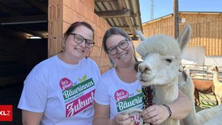 Zwei Frauen mit Brille und weißen T-Shirts mit grünem und rosa Text stehen neben einem Alpaka. Die Frau rechts hält die Leine des Alpakas.