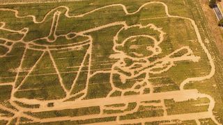 Eine Draufsicht auf ein großes Feld mit einem Cartoon-Charakter und einem Eimer-Design, das durch das Pflügen der Pflanzen entstanden ist.
