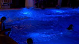 Ein Schwimmbecken mit blauen Lichtern, die das Wasser beleuchten, Menschen schwimmen und eine Person springt hinein.
