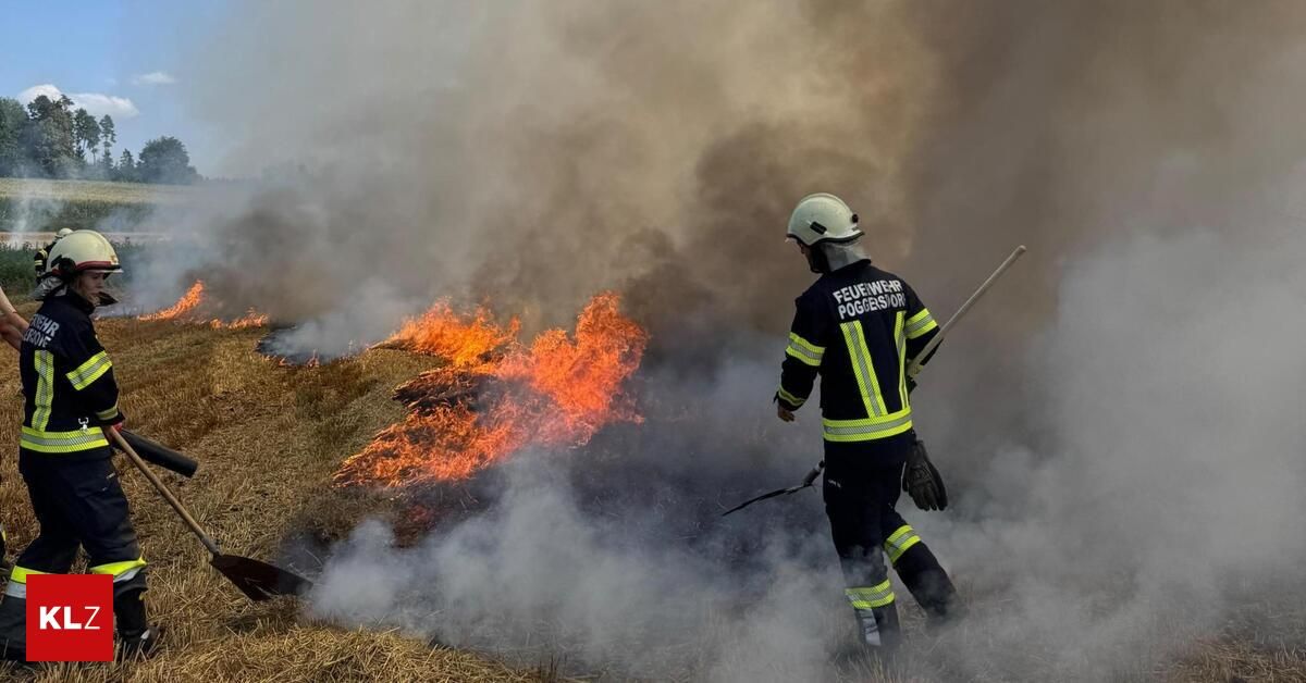 Ein Feuerwehrmann in voller Ausrüstung, einschließlich Helm und Handschuhen, steht in einem Feld mit einem Feuerlöscher und einem langen Stock und blickt auf ein brennendes Gebiet mit Rauch und Flammen.