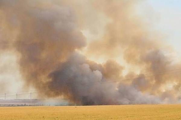 Ein großer Rauchschwaden steigt von einem Feuer in einem Feld auf, mit klarem Himmel darüber und Stromleitungen im Hintergrund.