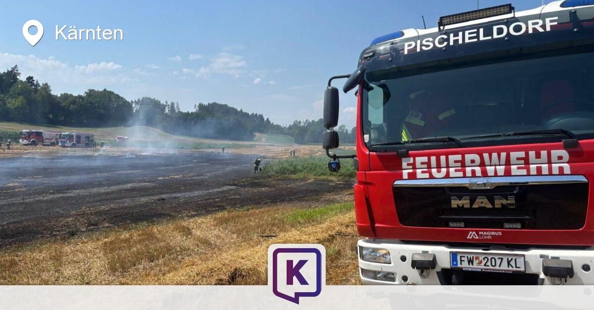 Ein roter Feuerwehrwagen mit der Aufschrift 'Feuerwehr' steht auf einem Grasfeld mit einer verbrannten Fläche im Hintergrund. Eine Person in einer reflektierenden Weste steht in der Nähe des Feuers.