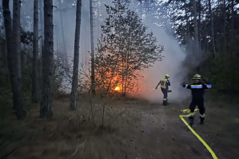 Two firefighters in protective gear are battling a forest fire, with one using a hose to spray water on the flames.
