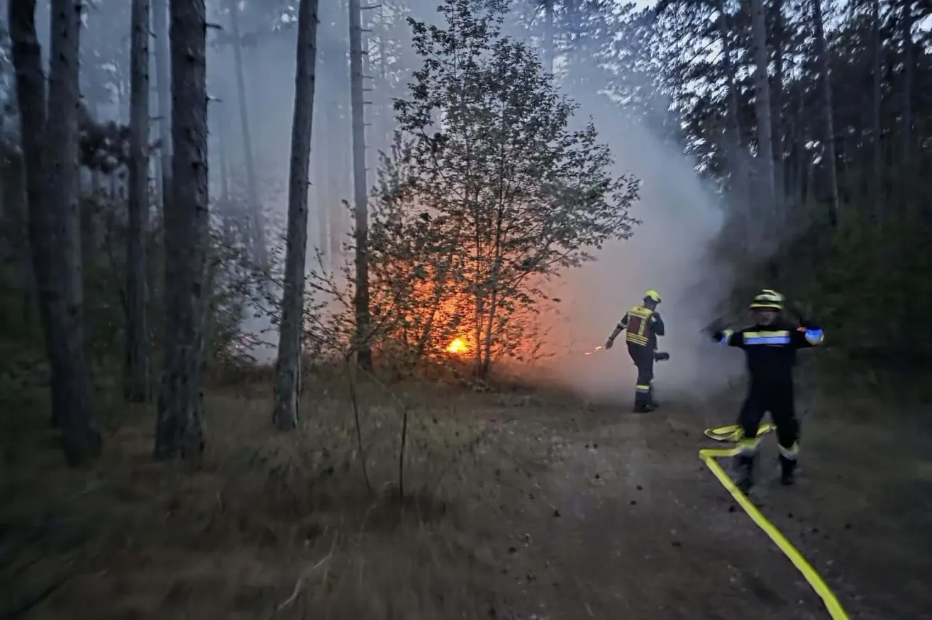 Two firefighters in protective gear are battling a forest fire, with one using a hose to spray water on the flames.