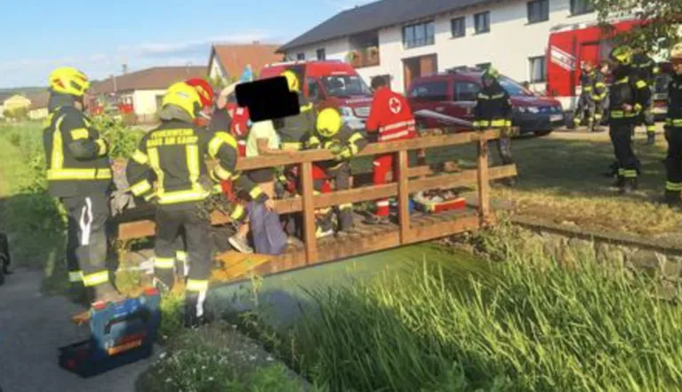 Feuerwehrleute in Schutzkleidung retten eine Person von einer Holzbrücke über einem Teich, mit geparkten Rettungsfahrzeugen in der Nähe.