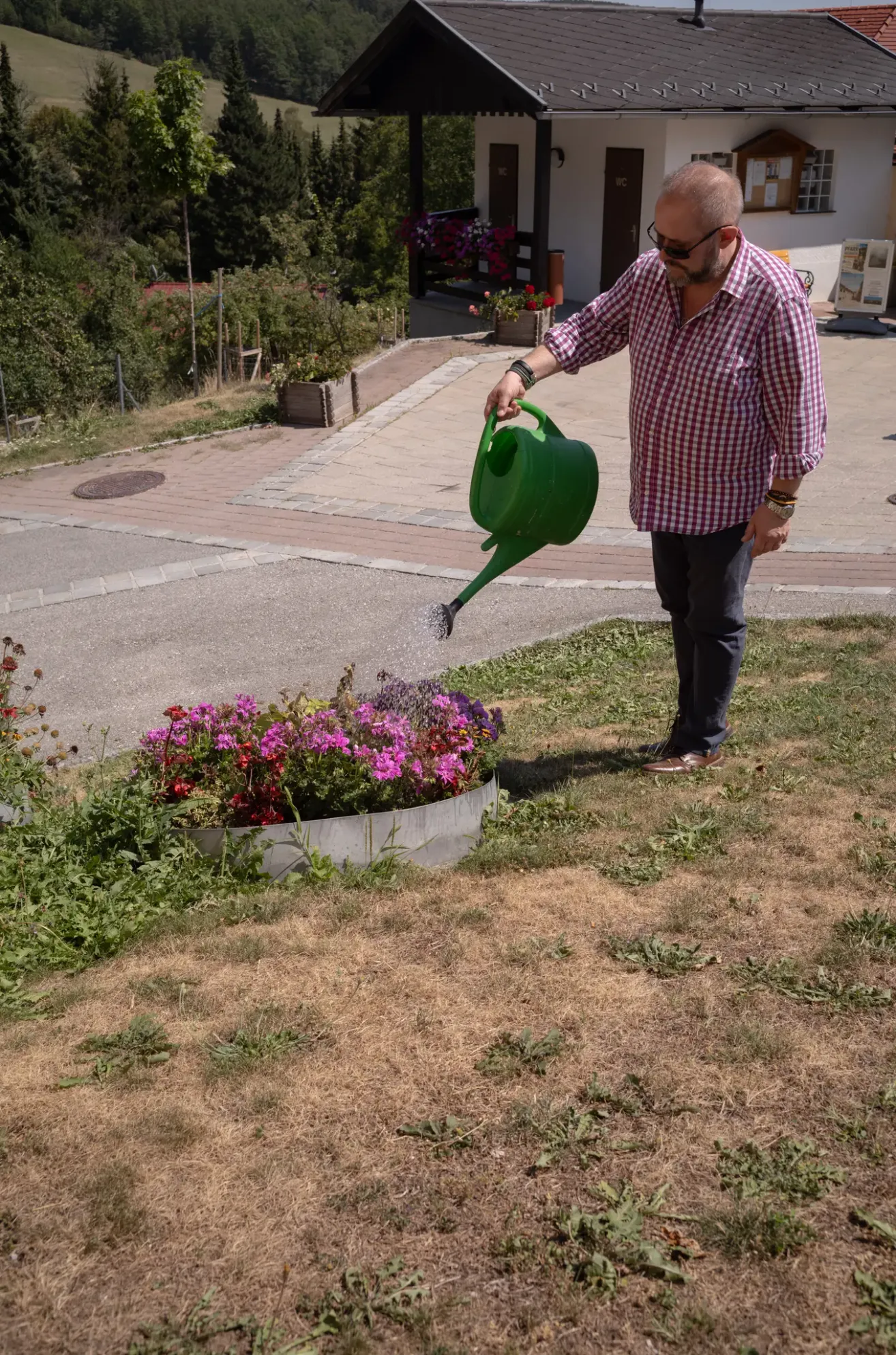 Ein Mann gießt einen Blumenbeet mit einer grünen Gießkanne an einem sonnigen Tag.