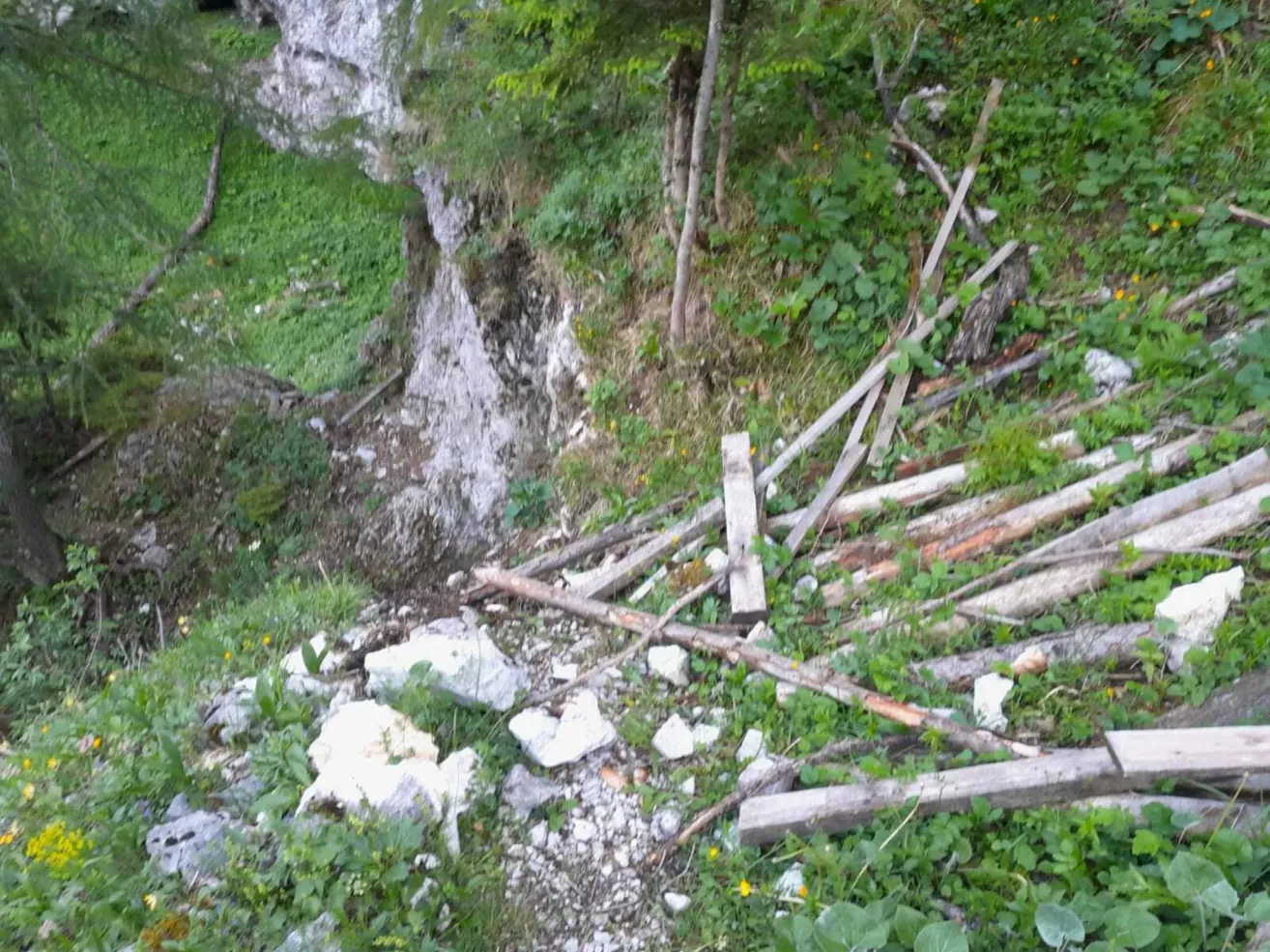 Ein felsiger Hang mit verstreuten Baumstämmen und Grünpflanzen, der Anzeichen von Erosion und Pflanzenwachstum zeigt.